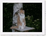 Tommy en Tymo 203 * 2048 x 1536 * (1.1MB)